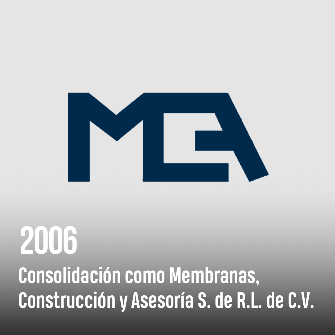 2006